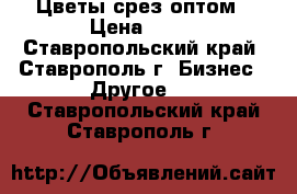 Цветы срез оптом › Цена ­ 15 - Ставропольский край, Ставрополь г. Бизнес » Другое   . Ставропольский край,Ставрополь г.